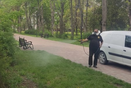 В Ессентуках проводят противоклещевую обработку парков и скверов